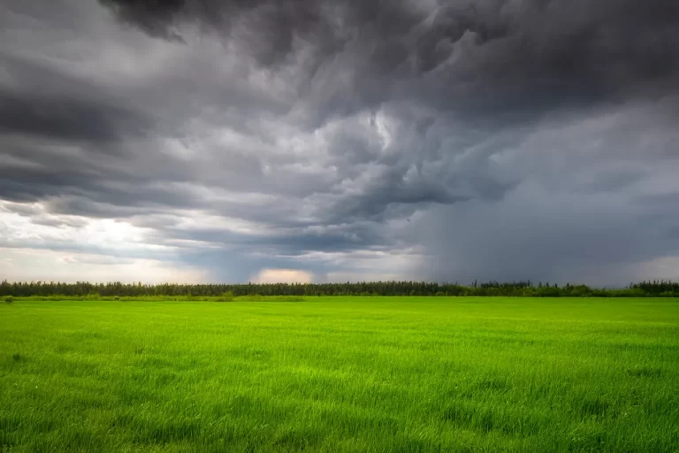 Os desafios de uma safra de inverno com El Niño